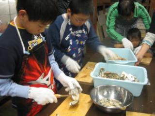旬の浦村牡蠣を味わう～カキむき体験と簡単カキ料理