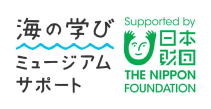 海の学びミュージアムサポート　日本財団