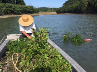 【漁業体験】束ねた枝やカゴでエビやカニをつかまえよう! カニカゴ漁と柴づけ漁(しばづけりょう)体験