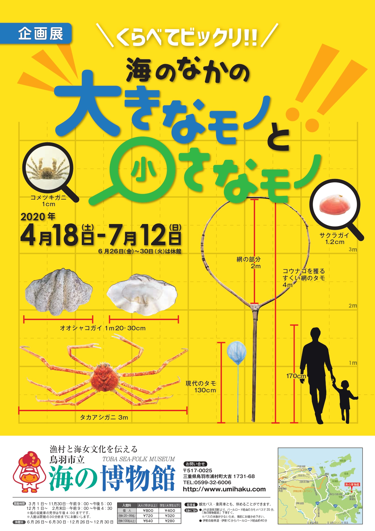 企画展「くらべてビックリ！！海のなかの大きなモノと小さなモノ」