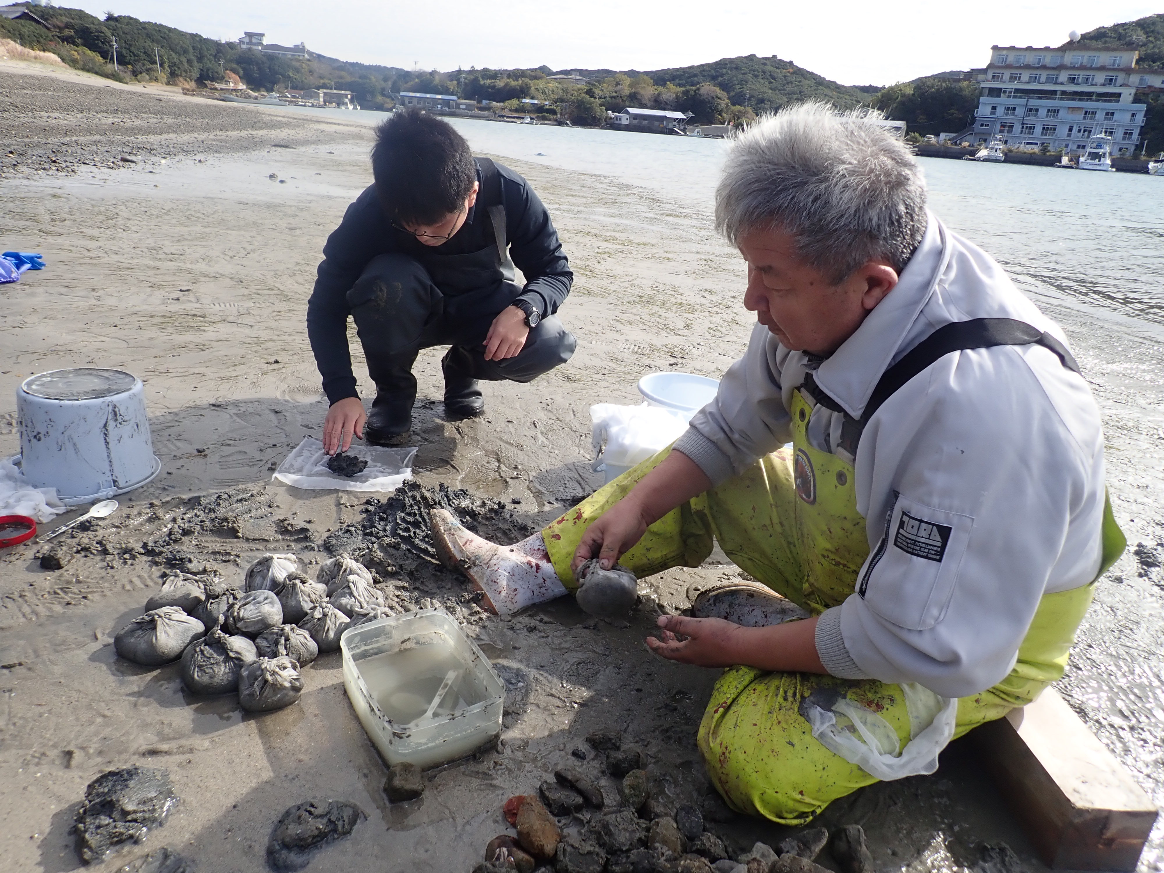 藻場を増やそう! 魚たちの住む海の森作り