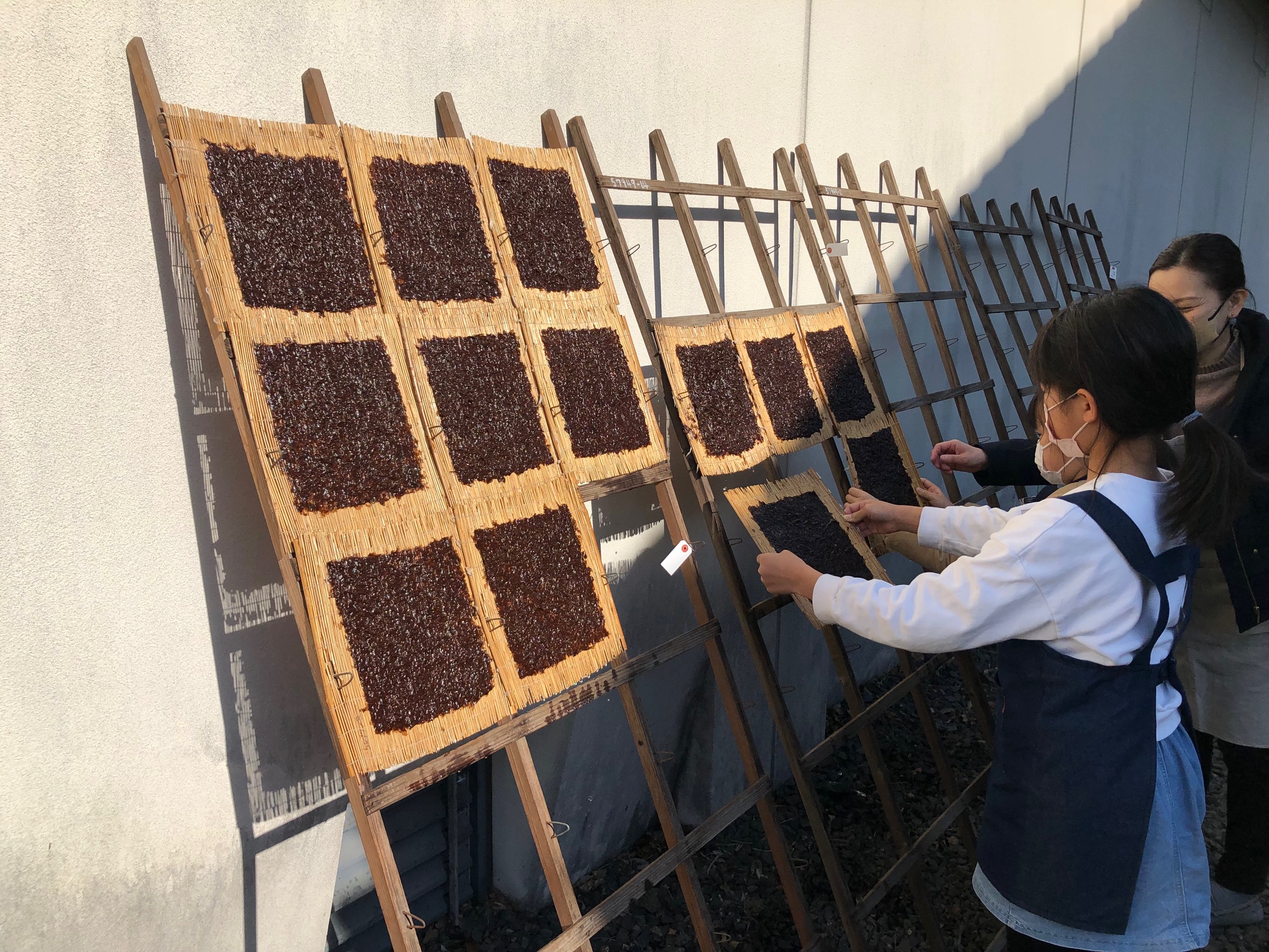 手作り海苔を作ろう！海苔すき体験