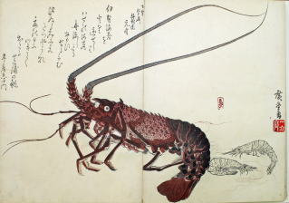 ①伊勢エビの歴史と食