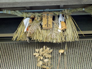 ③祭りと伊勢エビ　おめでたくて、邪をはらう