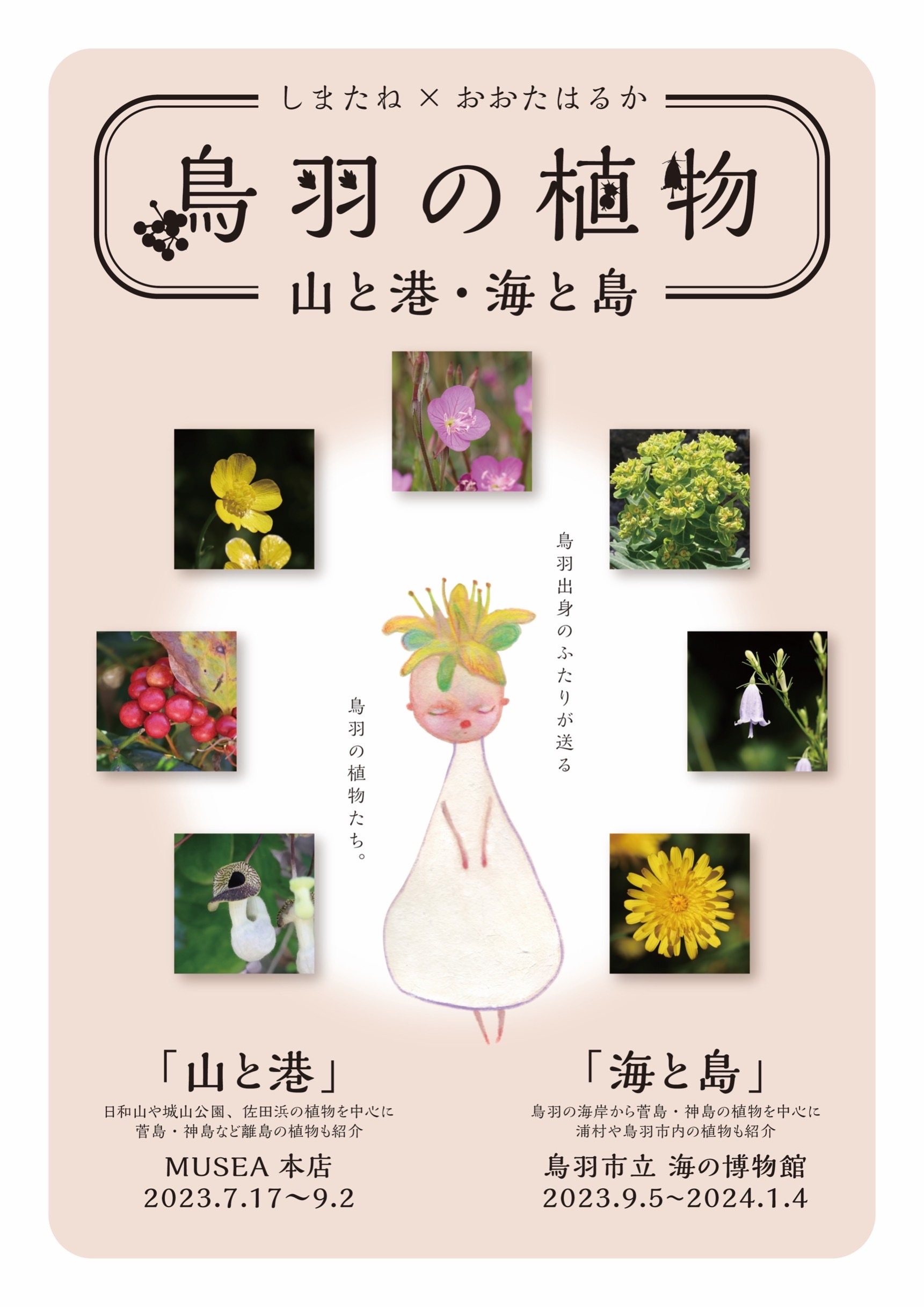 しまたね＋おおたはるか『鳥羽の植物 山と港、海と島』
