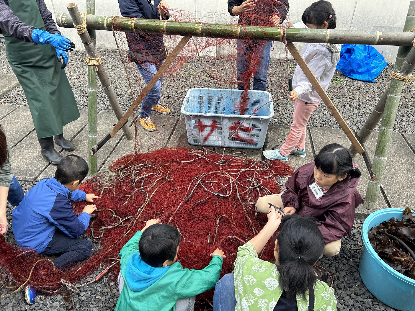 付属イベント②エビ網は生きものの宝箱