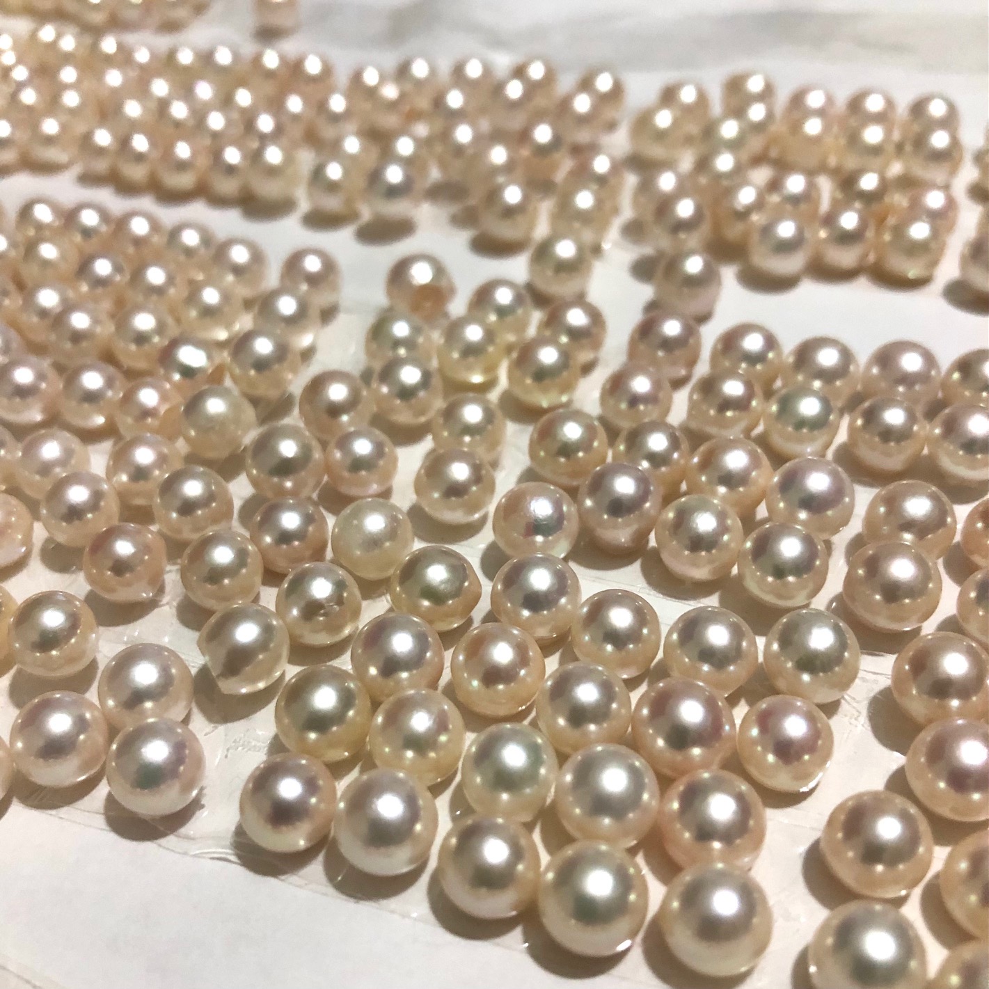 付属イベント③真珠でブレスレットをつくろう