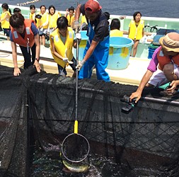 熊野の海で定置網漁を体験しよう