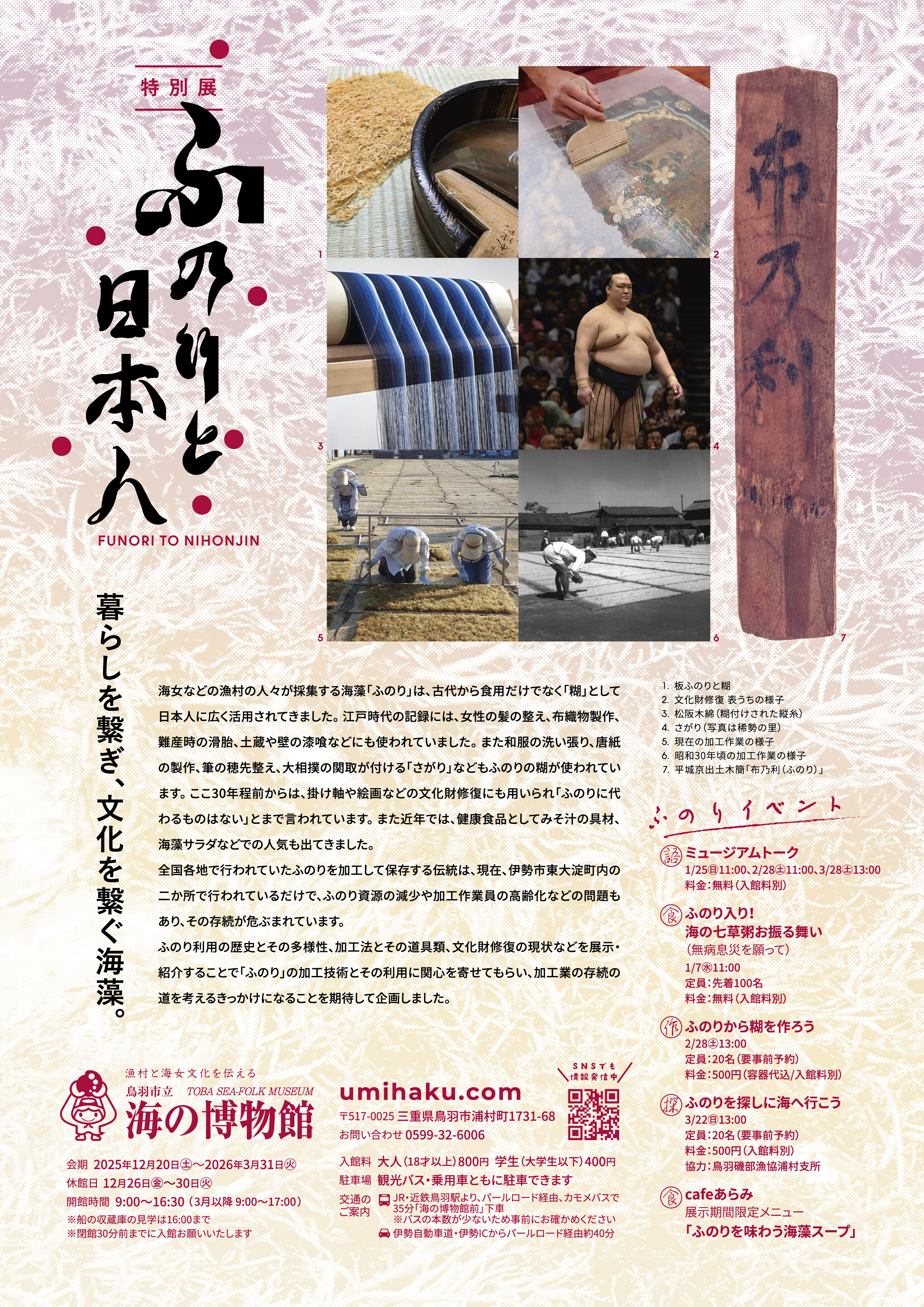 ふのりを探しに海へ行こう